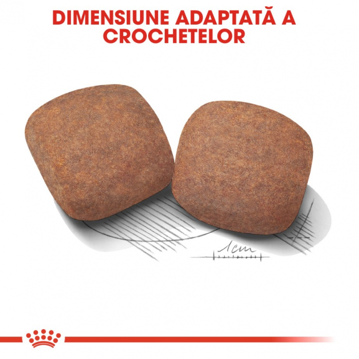 Royal Canin Giant Adult 15 Kg [6]