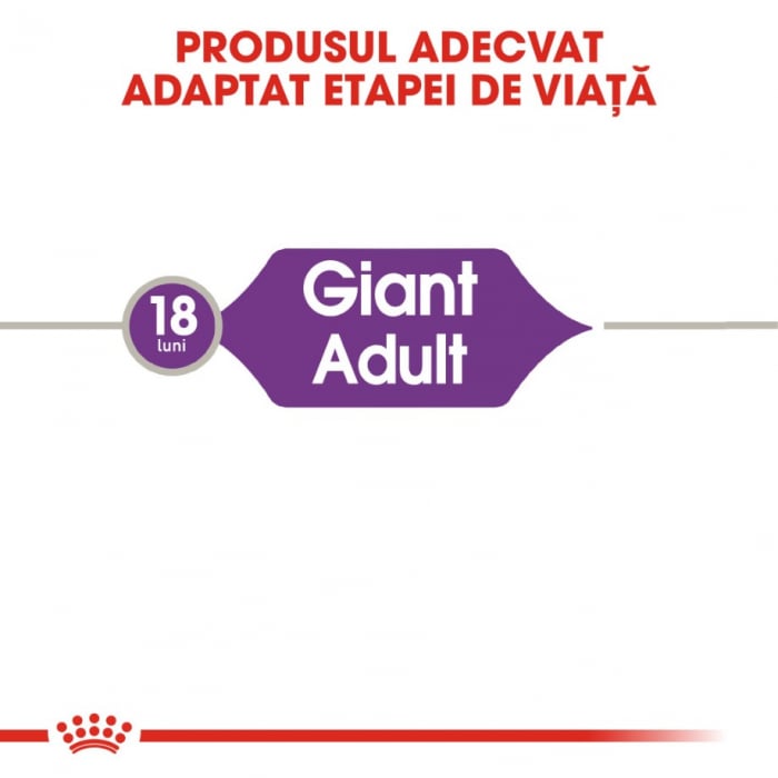 Royal Canin Giant Adult 15 Kg [4]