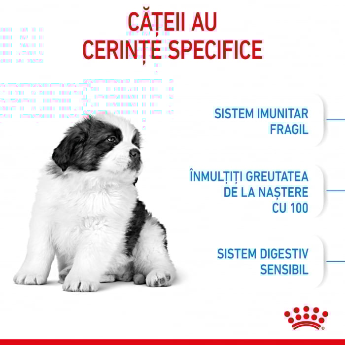 Royal Canin Giant Puppy 15 Kg [8]