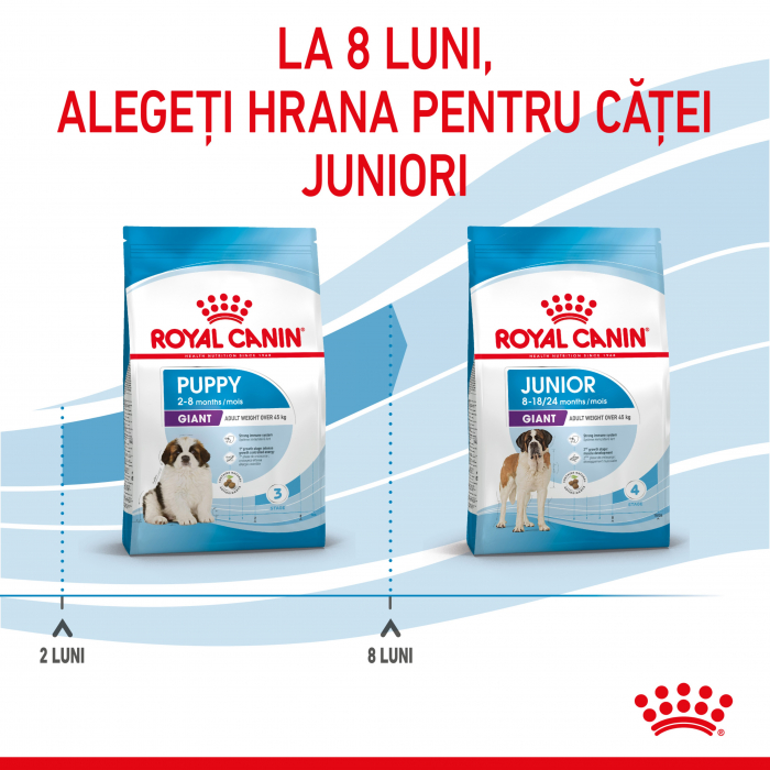 Royal Canin Giant Puppy 3.5 Kg [9]