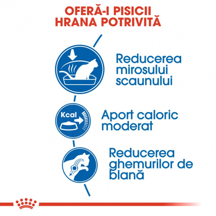 Royal Canin Indoor, 4 kg [6]