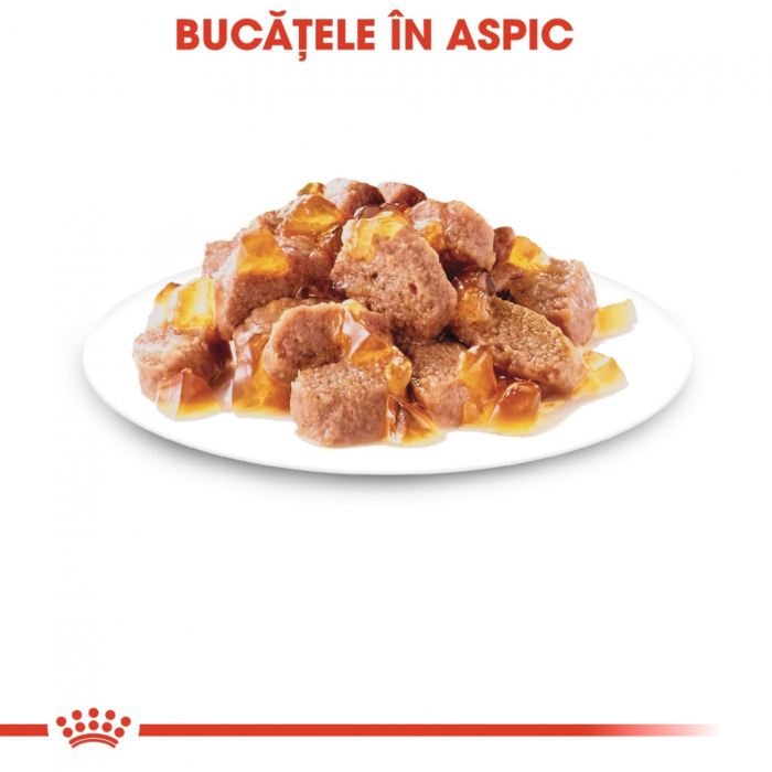 Royal Canin Instinctive Adult, plic hrană umedă pentru pisici, (în aspic), 1x85g [3]