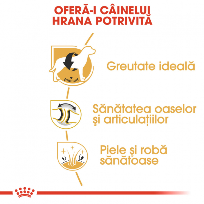 Royal Canin Labrador Adult hrana uscata caine, 3 kg [4]