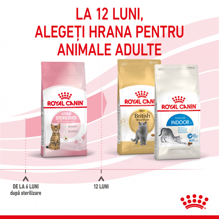 Royal Canin Kitten Sterilised, 2 kg [4]