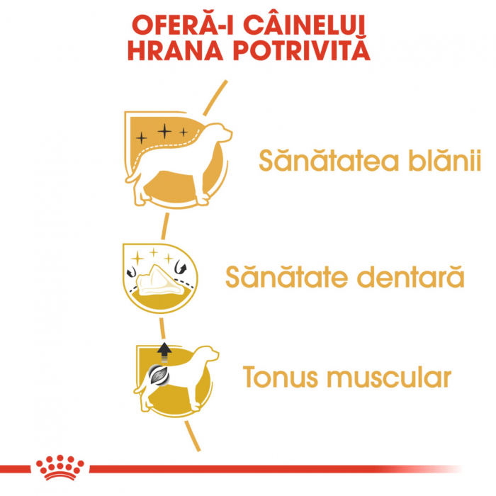 Royal Canin Poodle Adult hrana uscata caine, 1.5 kg [4]