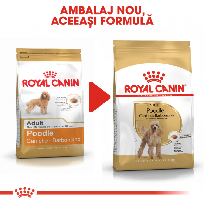 Royal Canin Poodle Adult hrana uscata caine, 1.5 kg [2]