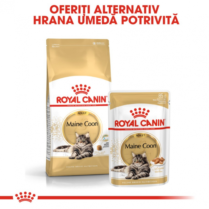 Royal Canin Maine Coon Adult, 10 kg [6]