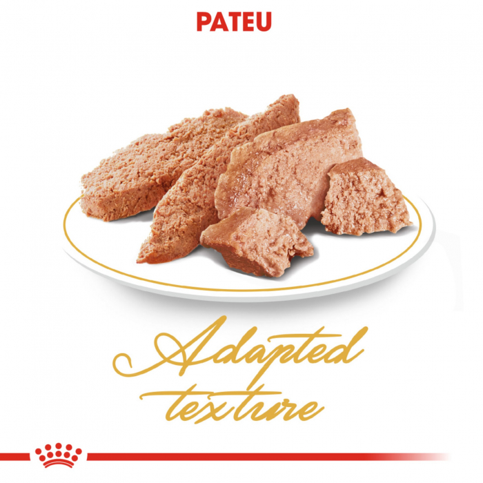 Royal Canin Persian Adult hrana umeda pisica (pate), 12 x 85 g [3]