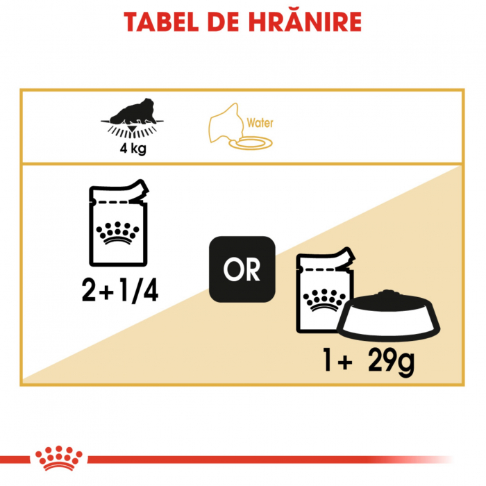 Royal Canin Persian Adult hrana umeda pisica (pate), 12 x 85 g [6]
