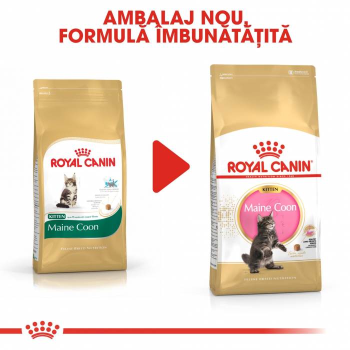 Royal Canin Maine Coon Kitten, 10 kg [7]