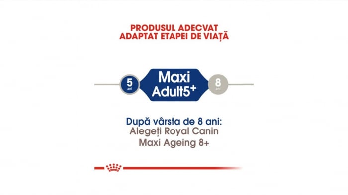Royal Canin Maxi Adult (5+), 4 Kg [3]