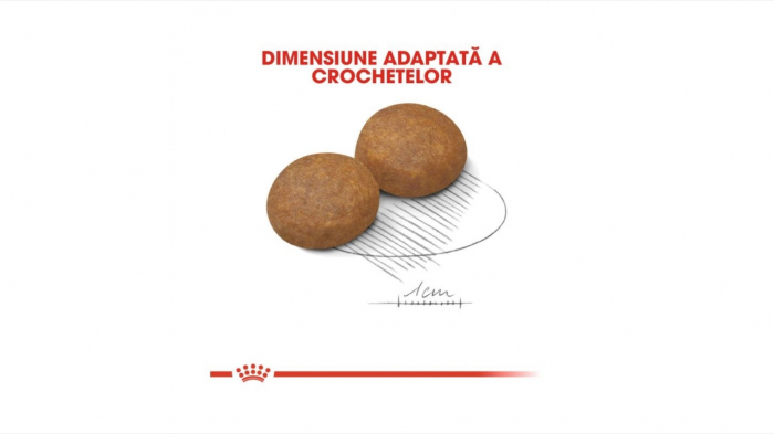 Royal Canin Maxi Adult (5+), 4 Kg [4]