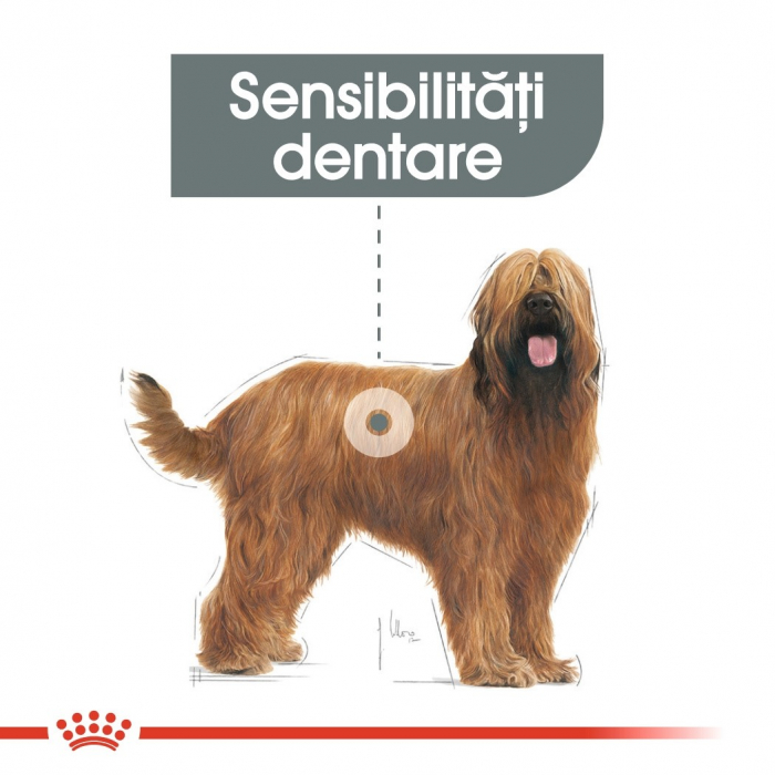 Royal Canin Maxi Dental Care Adult, hrană uscată câini, pentru dinti sanatosi, 3kg [2]