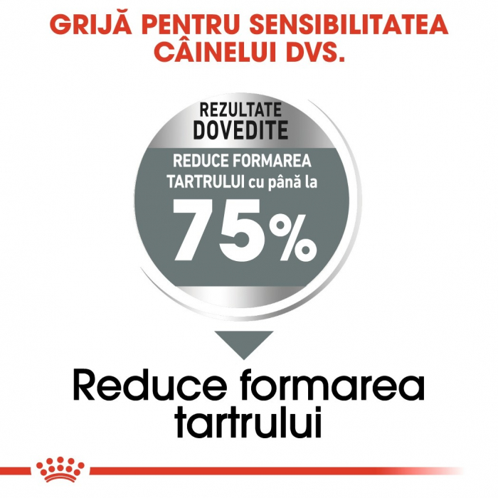 Royal Canin Maxi Dental Care Adult, hrană uscată câini, pentru dinti sanatosi, 9kg [5]