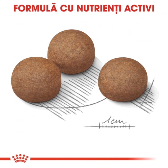 Royal Canin Maxi Digestive Care hrana uscata caine, confort digestiv, 12 kg [7]