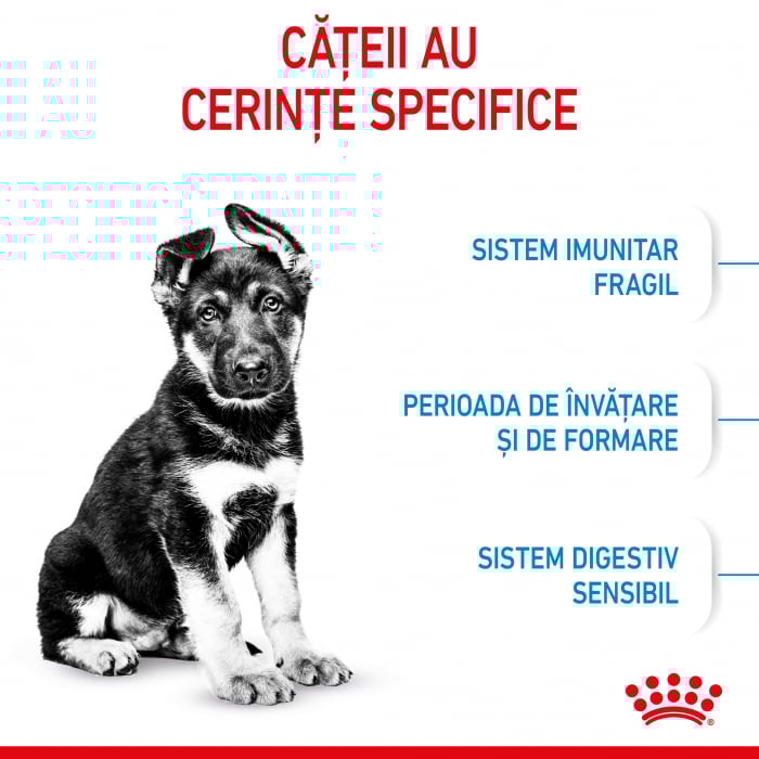 Royal Canin Maxi Puppy 1 Kg [9]