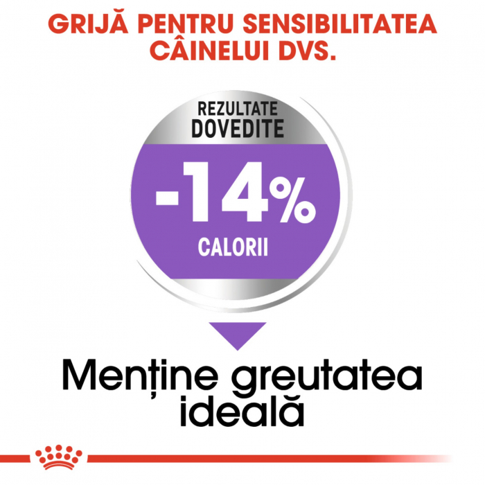 Royal Canin Maxi Sterilised Adult hrana uscata caine sterilizat, 12 kg [3]