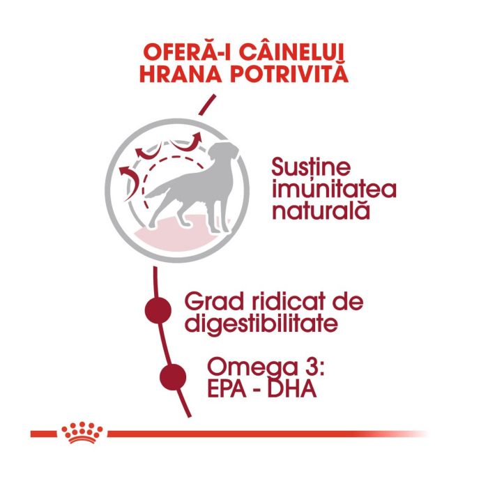 Royal Canin Medium Adult 15 + 3 Kg Gratis [5]