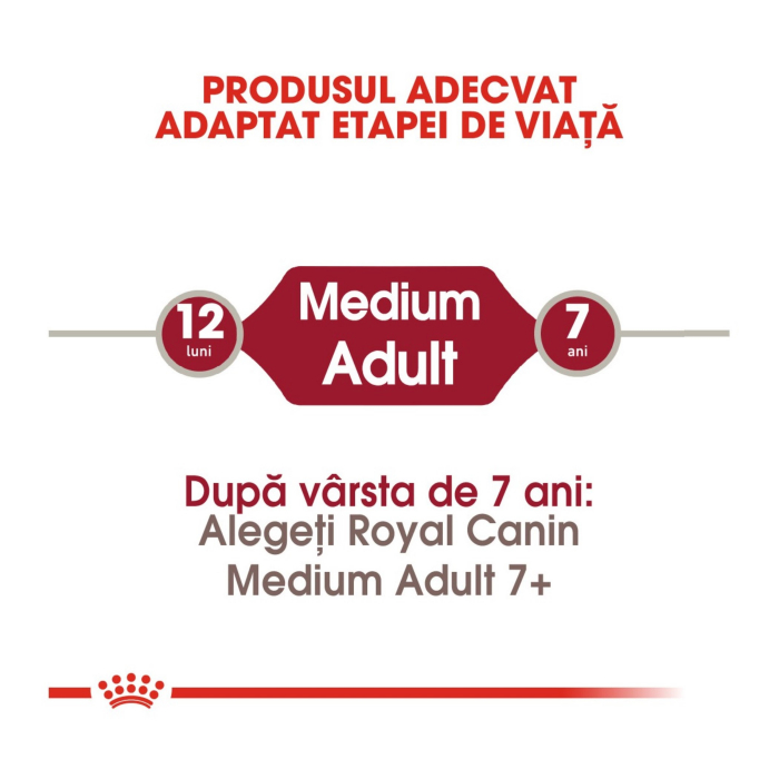 Royal Canin Medium Adult 15 + 3 Kg Gratis [2]