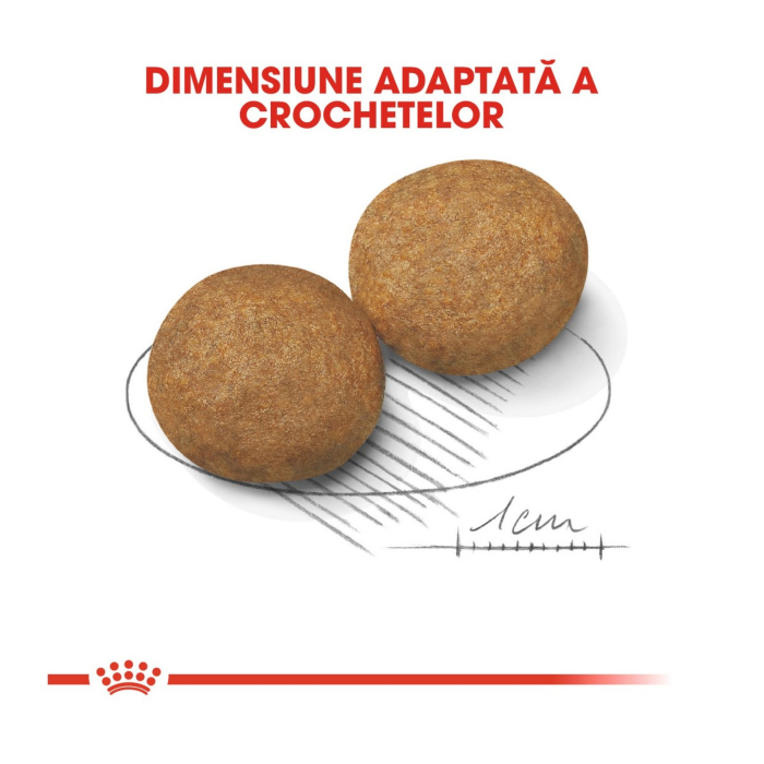 Royal Canin Medium Adult 15 + 3 Kg Gratis [4]