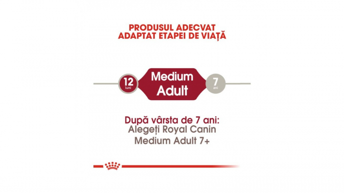 Royal Canin Medium Adult 12 Kg [4]