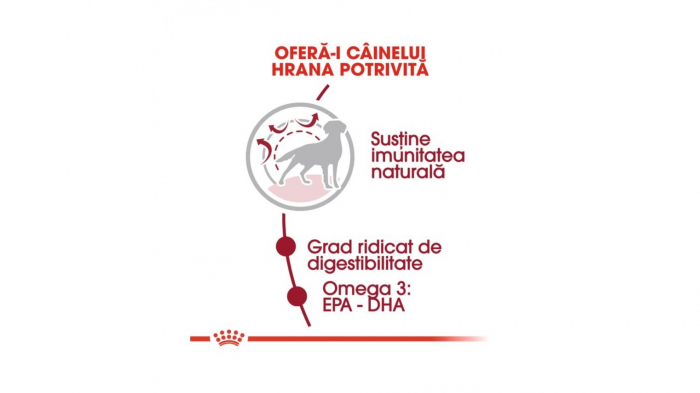 Royal Canin Medium Adult 12 Kg [6]