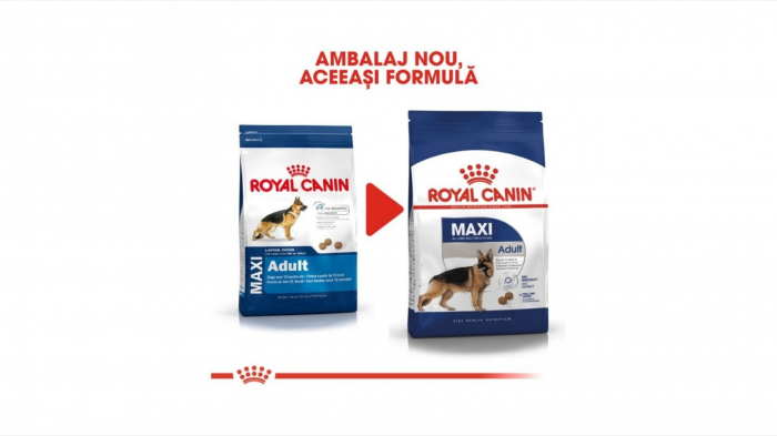 Royal Canin Maxi Adult 12 Kg [5]