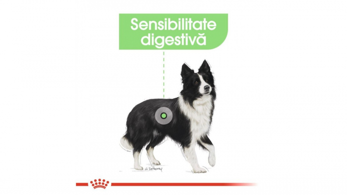 Royal Canin Medium Digestive Care hrana uscata caine, 10 kg [2]