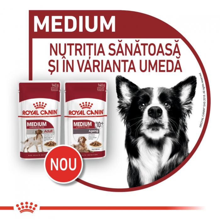 Royal Canin Medium Ageing hrana umeda caine senior (in sos), 140 g [2]