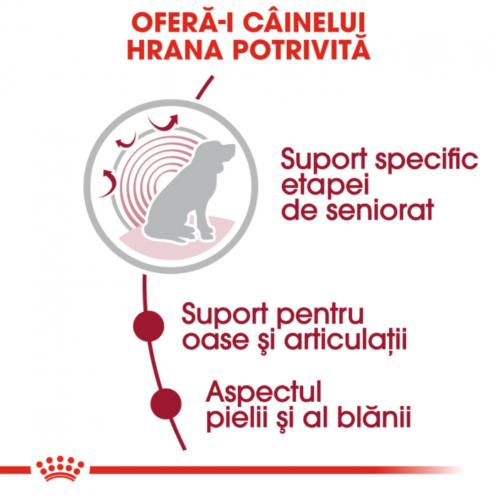 Royal Canin Medium Ageing hrana umeda caine senior (in sos), 140 g [5]