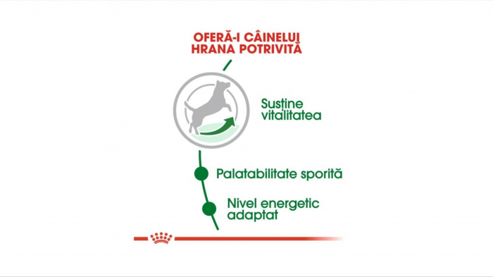 Royal Canin Mini Adult (+8), hrana uscata caini - 2 Kg [4]