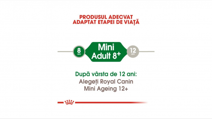 Royal Canin Mini Adult (+8), hrana uscata caini - 2 Kg [3]