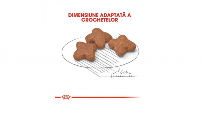 Royal Canin Mini Adult (+8), hrana uscata caini - 2 Kg [2]