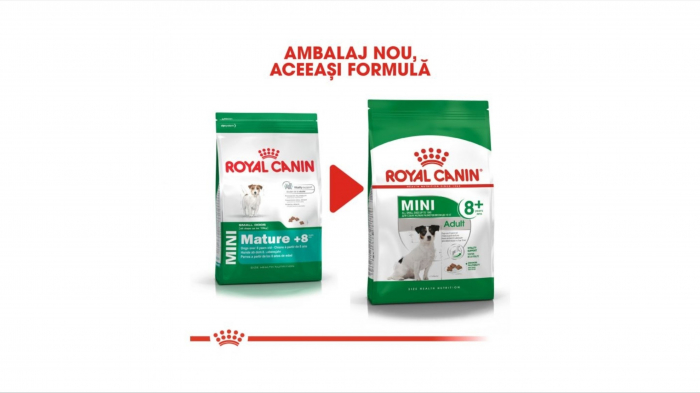 Royal Canin Mini Adult (+8), hrana uscata caini - 2 Kg [5]