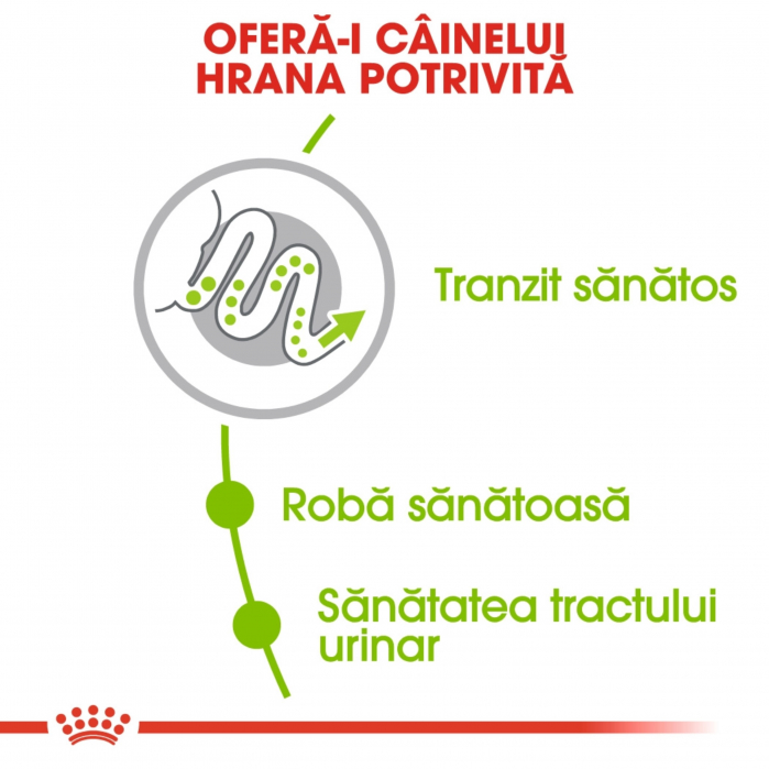 Royal Canin X-Small Adult, hrană uscată câini, 500 g [6]