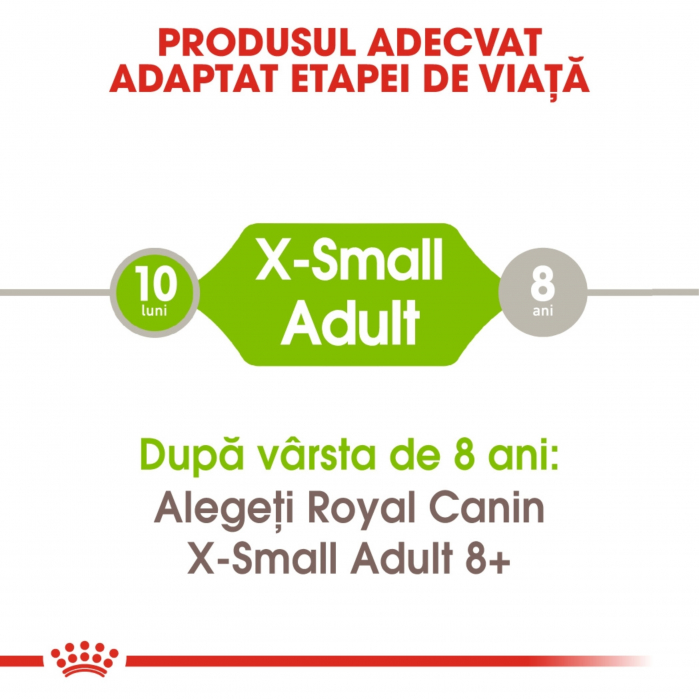 Royal Canin X-Small Adult, hrană uscată câini, 500 g [5]