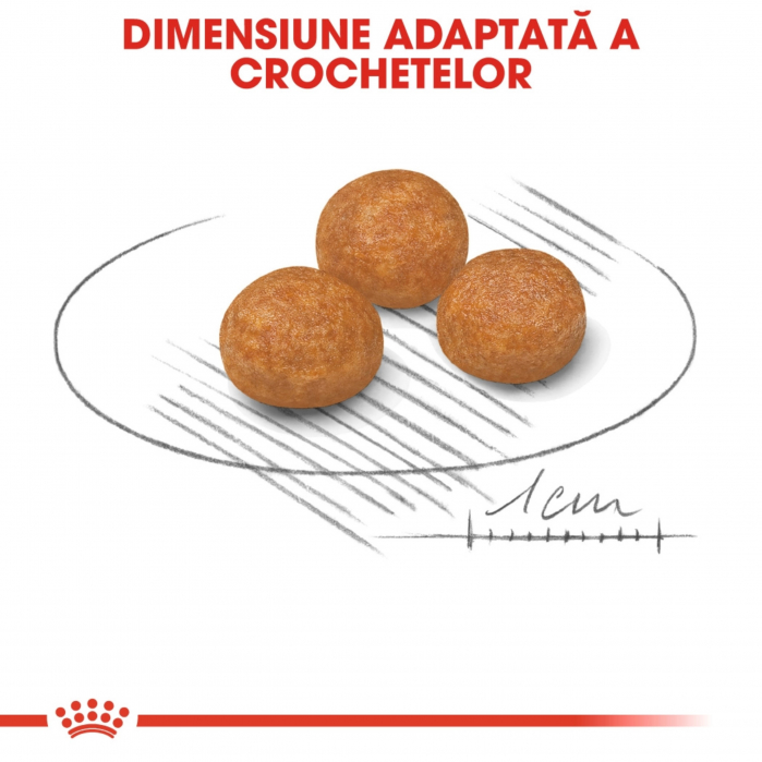 Royal Canin X-Small Adult, hrană uscată câini, 500 g [3]