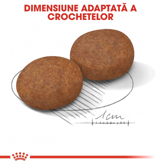 Royal Canin Medium Adult 7+, hrană uscată câini, 4kg [3]