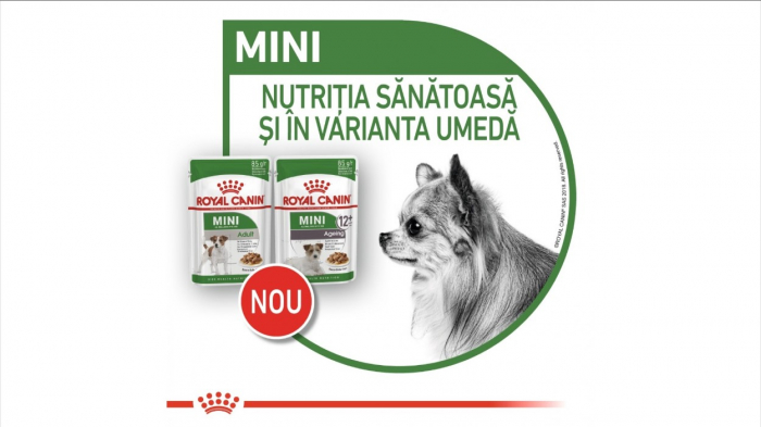 Royal Canin Mini Ageing 12+ hrana umeda caine senior (in sos), 1 x 85 g [7]