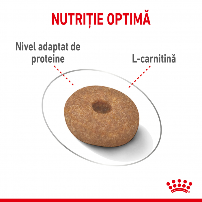 Royal Canin Mini Light Weight Care Adult, hrană uscată câini, Controlul greutatii, 1kg [7]