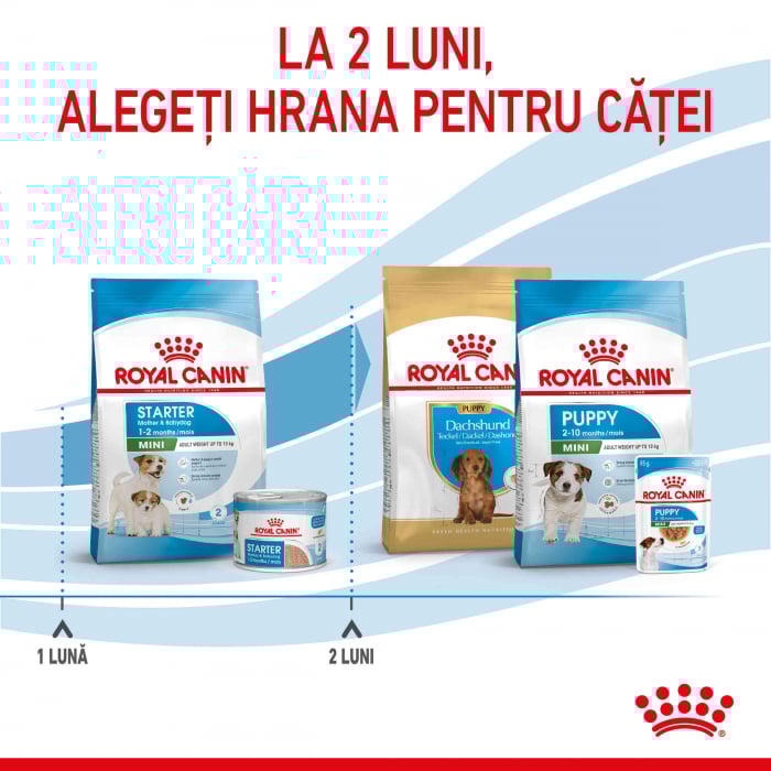 Royal Canin Mini Starter Mother & Babydog, mama si puiul, hrana uscata caine, 4 kg [6]