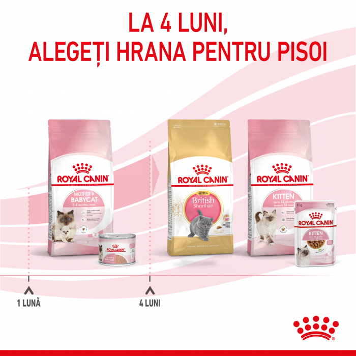 Royal Canin Mother & Babycat, 400 g [5]