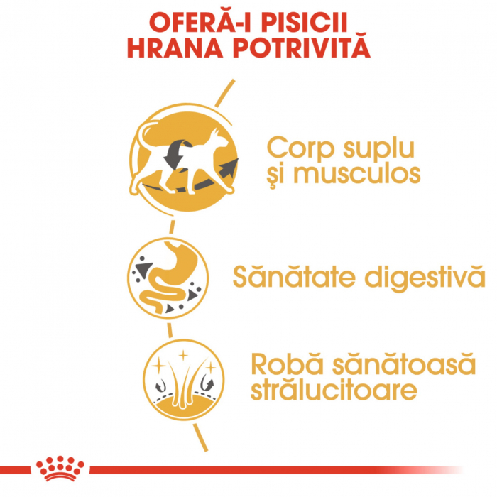 Royal Canin Siamese Adult hrana uscata pisica, 2 kg [4]