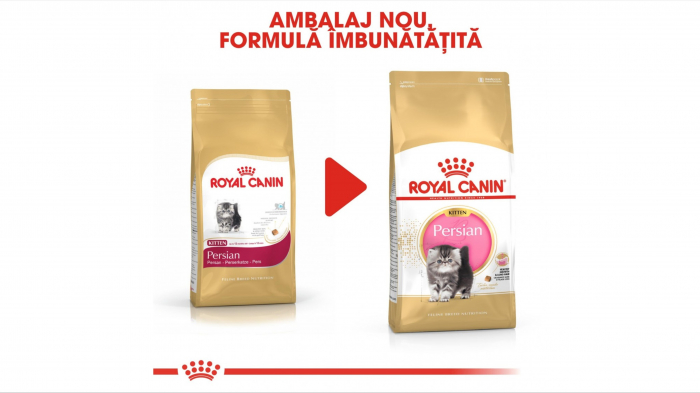 Royal Canin Persian Kitten hrana uscata pisica junior, 10 kg [6]