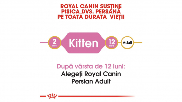 Royal Canin Persian Kitten hrana uscata pisica junior, 2 kg [4]