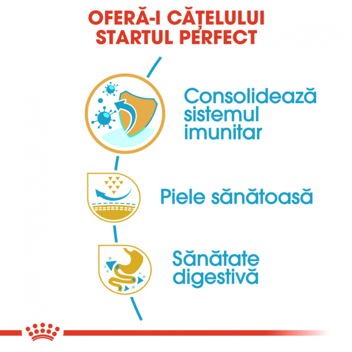 Royal Canin Pug Puppy hrana uscata caine junior, 1.5 kg [8]