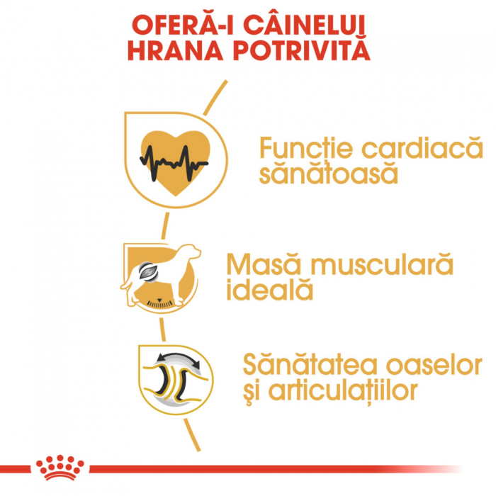 Royal Canin Rottweiler Adult hrana uscata caine, 12 kg [3]