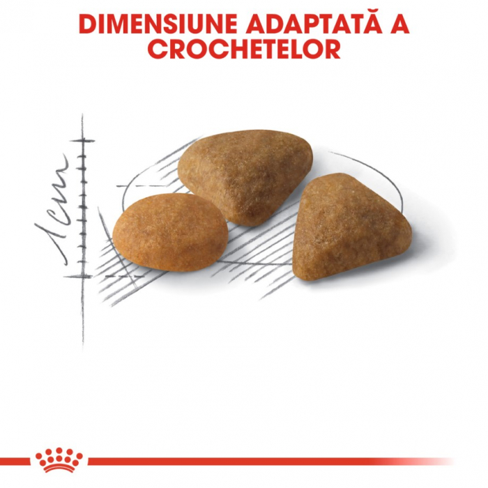 Royal Canin Exigent Savour, 400 g [4]