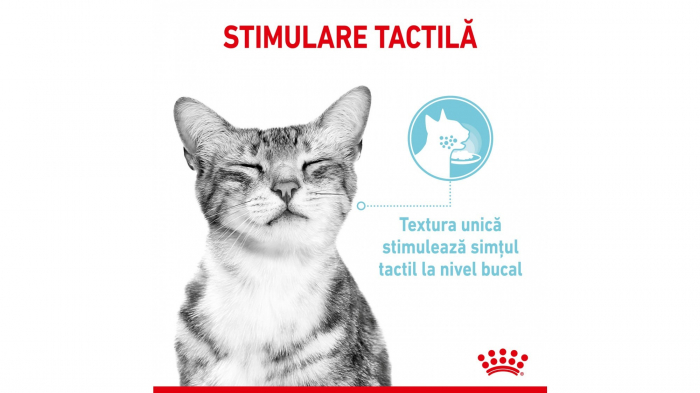 Royal Canin Sensory Feel, hrana umeda pisica pentru stimularea simtului tactil (in sos), 1 x 85 g [8]