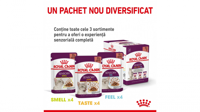 Royal Canin Sensory Feel, hrana umeda pisica pentru stimularea simtului tactil (in sos), 1 x 85 g [7]